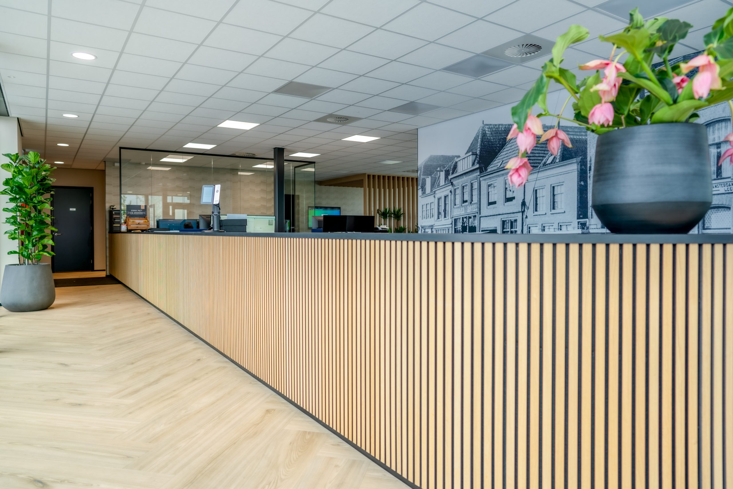 projectinrichting STAD Alkmaar door Otto's